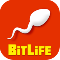 BitLife Game